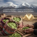 Manos sosteniendo hojas de coca junto a sacos de tejido andino frente a montañas nevadas del altiplano, simbolizando la diversidad cultural y el derecho penal en Chile.